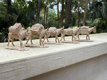 Load image into Gallery viewer, LOD089 (Burro Pack Train)