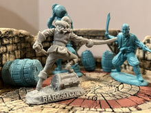 Load image into Gallery viewer, Female Pirate Warrior - Character Figure