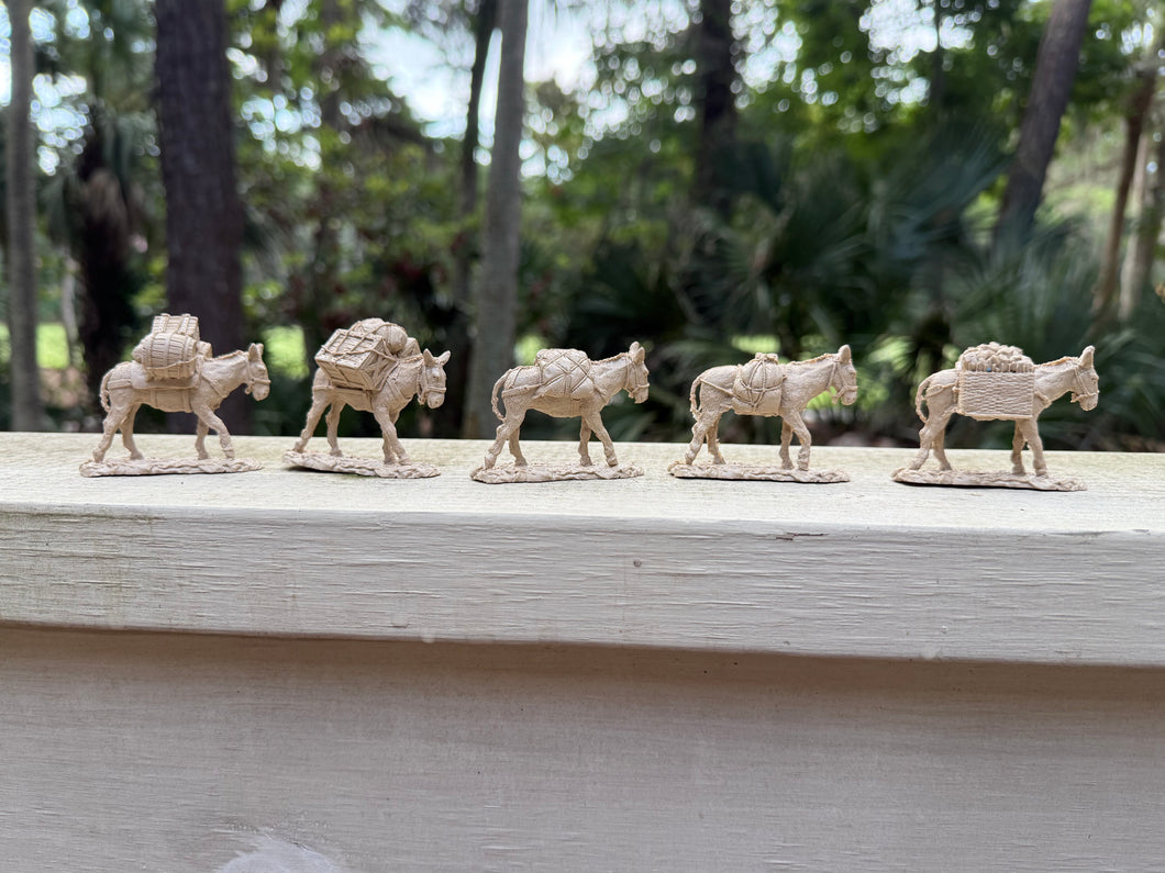 LOD089 (Burro Pack Train)